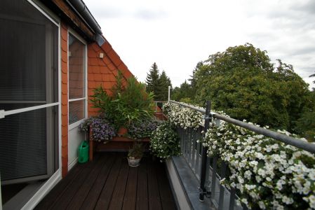 Ausblick vom Balkon