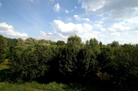 Blick vom Balkon