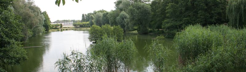 Weiher Mariendorf